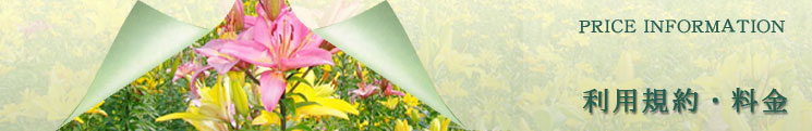 ���p�K��E����
