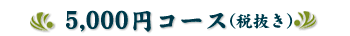 5250�~�R�[�X
